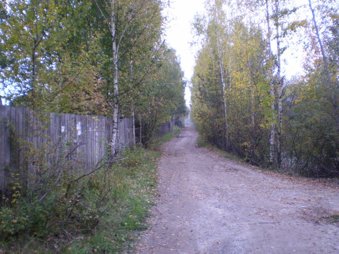 P9220296 (700x525, 140Kb)