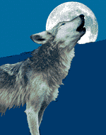 Wolf1 (150x190, 21Kb)