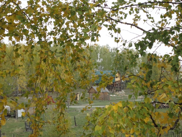 DSC03136 (640x480, 196Kb)
