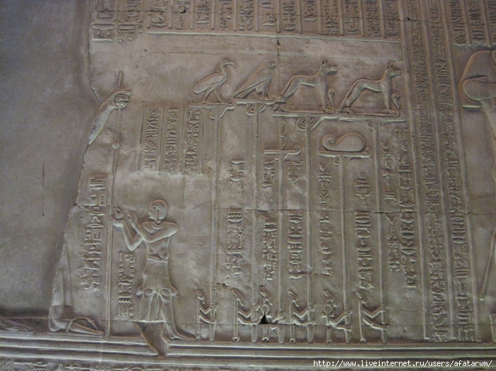 3427777_IMG_8449_copy (700x524, 238Kb)