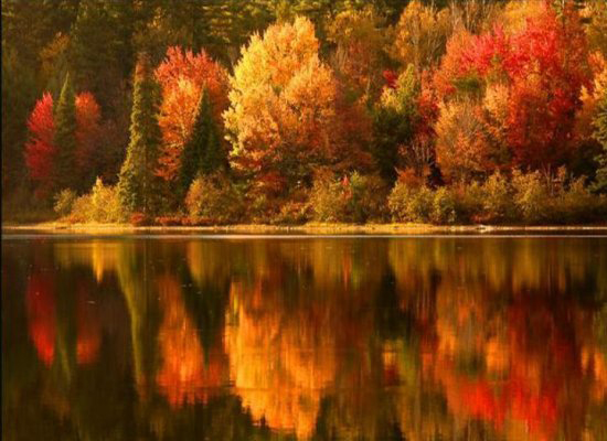fall20 (550x400, 184Kb)