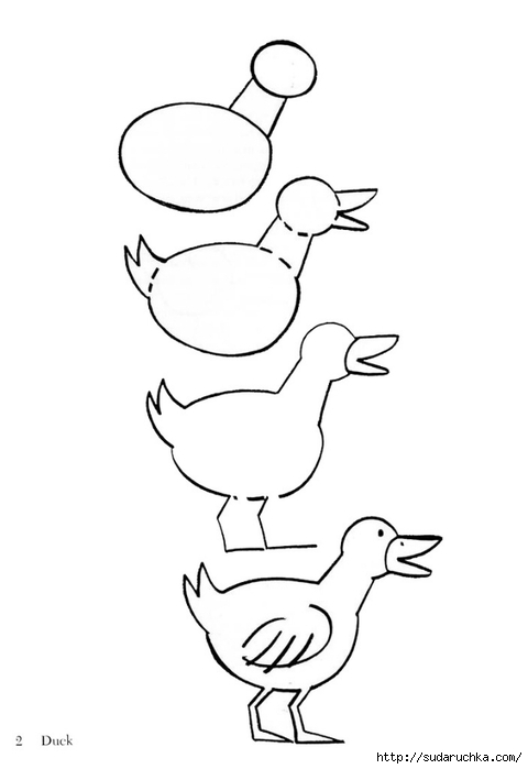 Как нарисовать Птицу