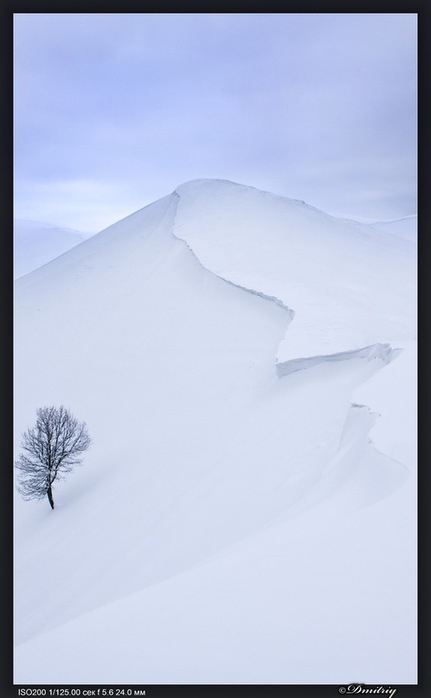 y_7e4f1bad (431x700, 32Kb)