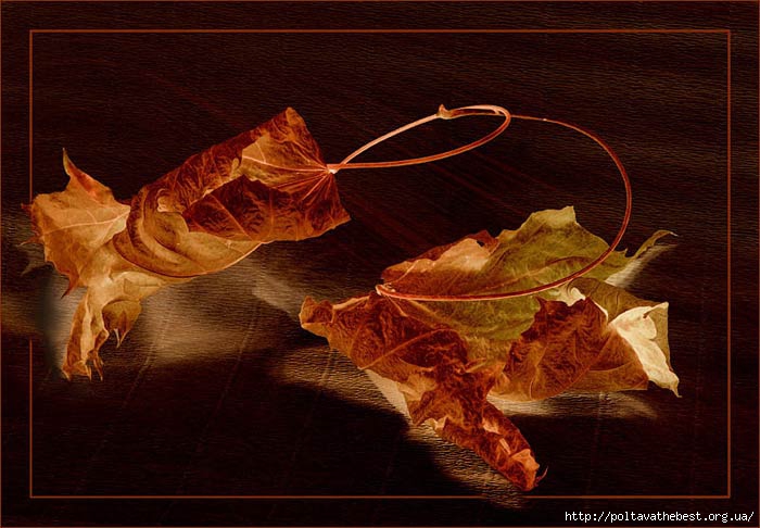1346575954_krasivie_osennie_kartinki_457_279-59 (700x486, 198Kb)