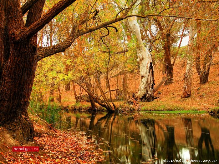 1346575957_krasivie_osennie_kartinki_457_279-58 (1) (700x525, 412Kb)