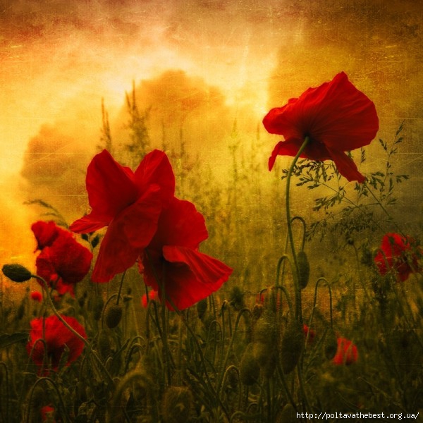 1346667435_krasivie_osennie_kartinki_457_279-36 (600x600, 212Kb)