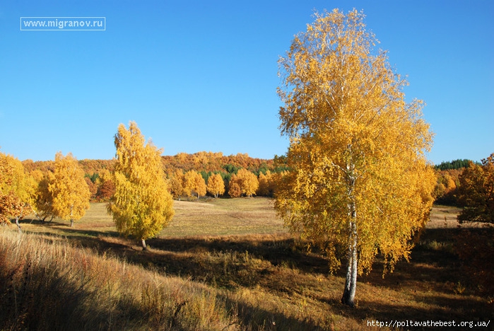 1346941389_krasivie_kartinki_osen_25687_269-25 (700x468, 295Kb)