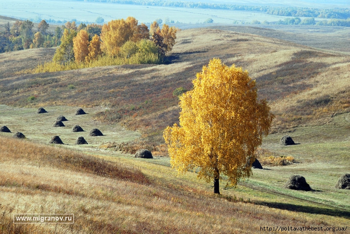 1346941493_krasivie_kartinki_osen_25687_269-14 (700x468, 346Kb)