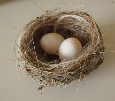 nest_13_texture_textures_free_download_easter (400x351, 26Kb)