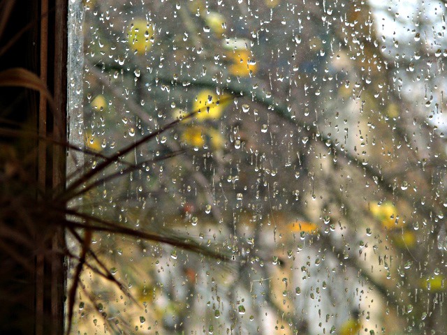 dd3f4d56e38f (640x480, 112Kb)
