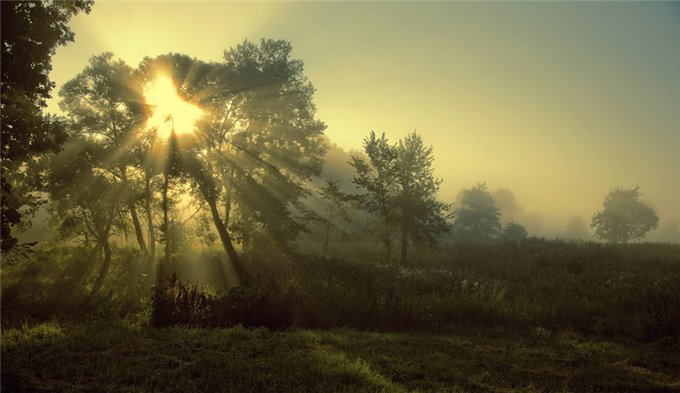 c3de2b15b783 (680x393, 48Kb)