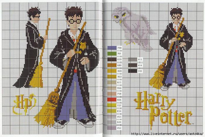 Harry Potter 2 (700x467, 235Kb)