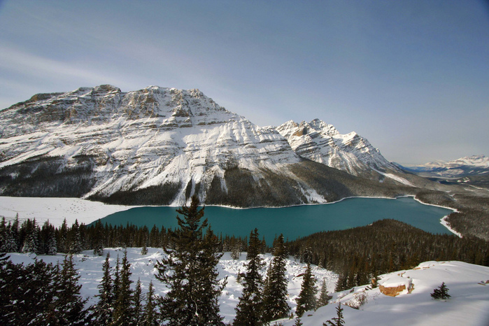 peyto lake (4) (700x466, 202Kb)