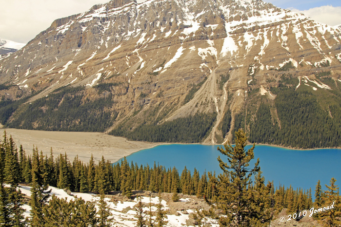 peyto lake (7) (700x466, 318Kb)