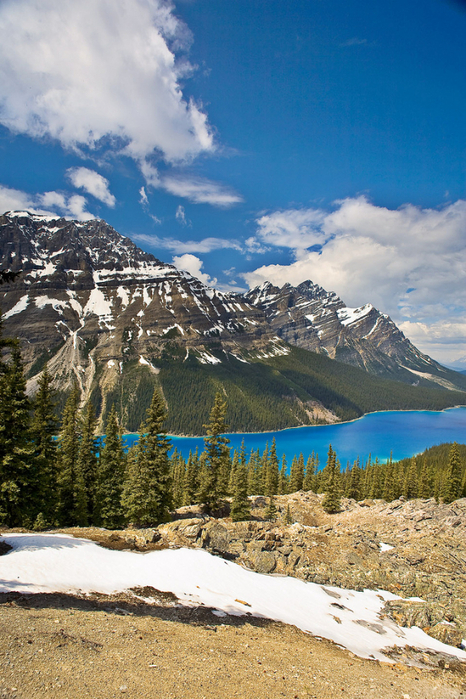 peyto lake (8) (466x700, 505Kb)