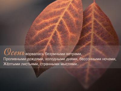 1349544480_55 (400x300, 150Kb)