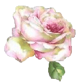 flow- pink rose flow (150x165, 13Kb)