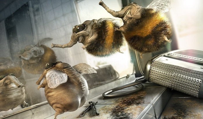 3244233_nastol_com_ua6807 (700x410, 134Kb)