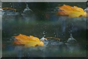 3166706_zrIhZPcAcW (300x200, 10Kb)