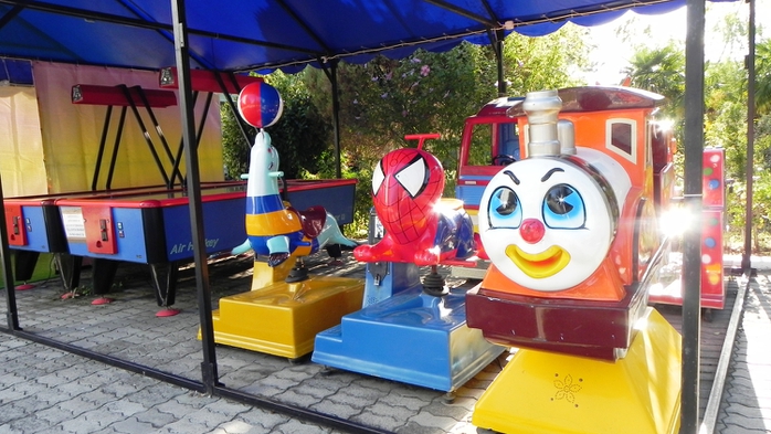 DSCN7922 (700x393, 251Kb)