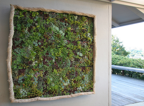 lian-vine-framed-garden (500x368, 171Kb)