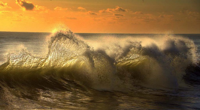 Waves-by-Bill-Dalton-1 (700x385, 81Kb)