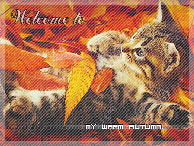 4292192_wallpapers_cats (400x300, 236Kb)