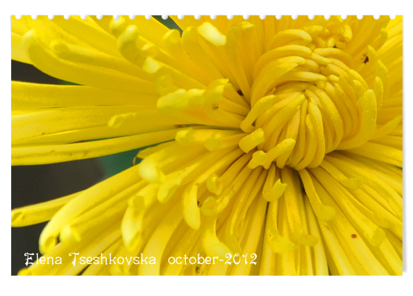4060712_24 (595x426, 110Kb)