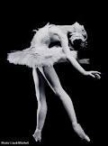 ballet (11) (120x162, 3Kb)