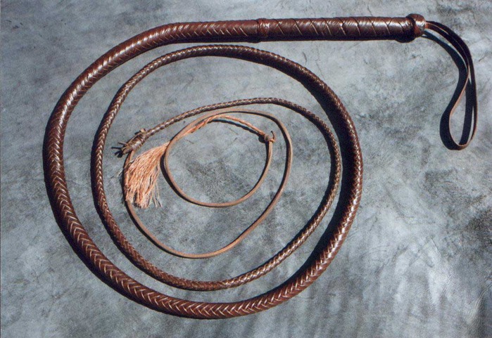 whip1 (700x481, 131Kb)