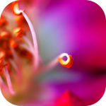 7 (150x150, 33Kb)