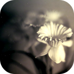10 (150x150, 34Kb)