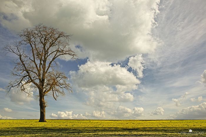 incredis (700x466, 73Kb)