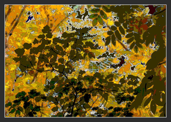 Osen_VI (700x499, 207Kb)