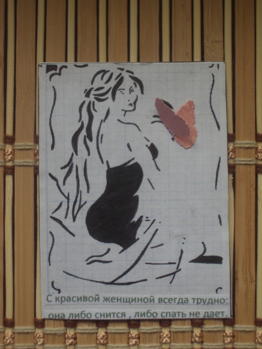 DSC02124 (525x700, 230Kb)