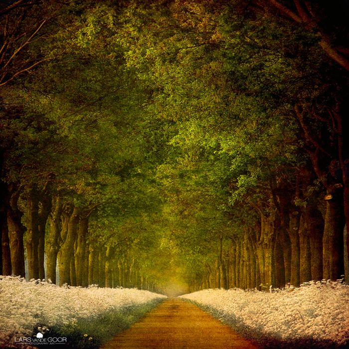 incredj9 (700x700, 154Kb)