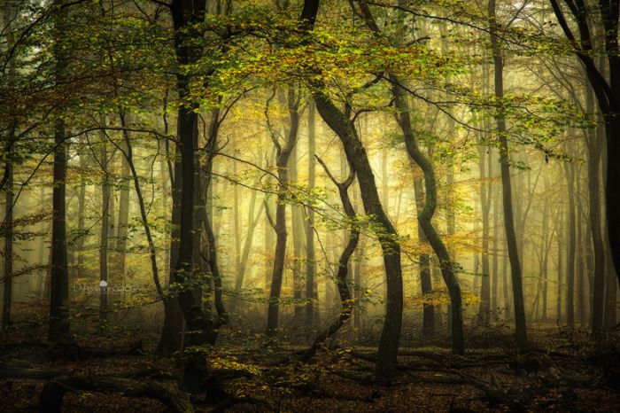 incredk6 (700x466, 110Kb)