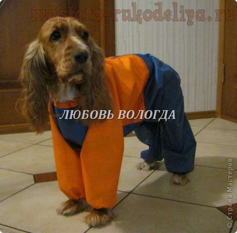sem nome-nitochka09.ru (488x480, 324Kb)