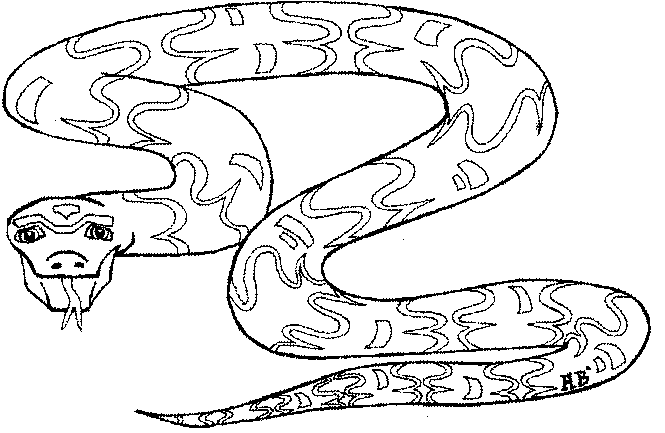 animal10bw (665x433, 10Kb)