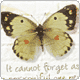 cncy_p_skin0004899_g (80x80, 4Kb)