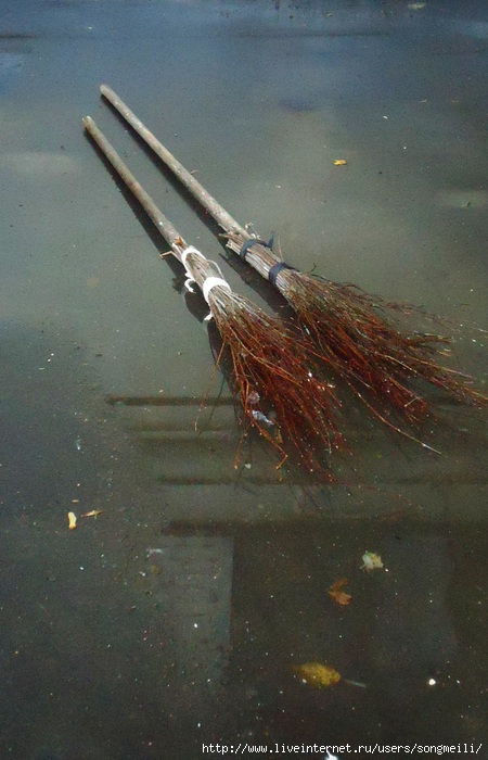 DSC03114 (450x700, 191Kb)