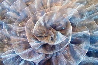 100_2041 (400x267, 39Kb)