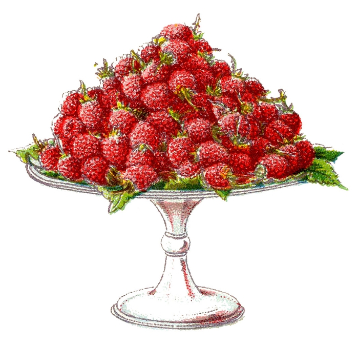 fruit-beetons-raspberry-graphicsfairy004b (700x673, 217Kb)