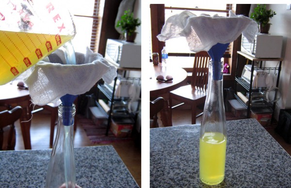 1filteringlimoncello (600x388, 73Kb)