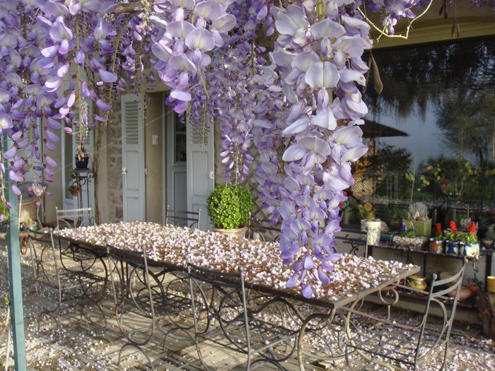4216969_Provence_1 (700x525, 121Kb)
