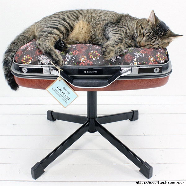 Comfort-Suitcase-for-Awesome-Domestic-Cat-Bed (600x600, 215Kb)