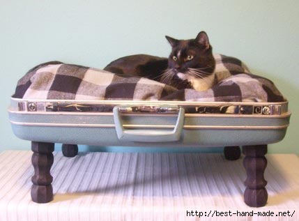 pet-bed-recycled-suitcase (429x317, 58Kb)