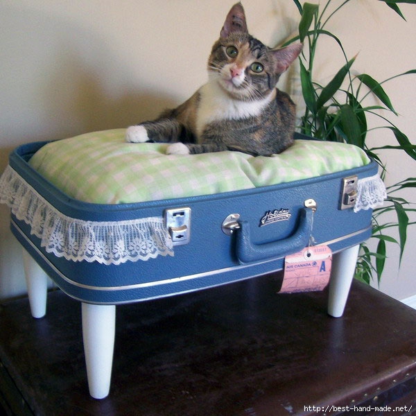 Recycled-Suitcase-Ideas-Farm-Cat-Bed (600x600, 216Kb)