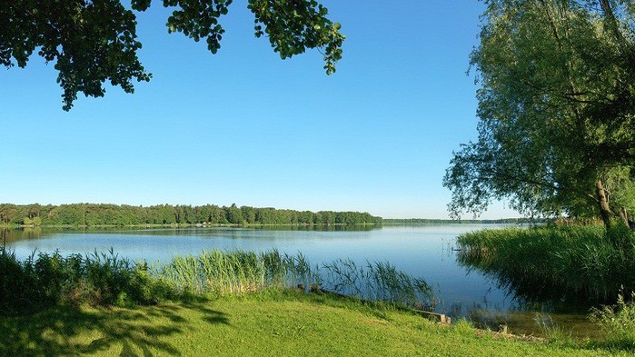   (700x393, 102Kb)