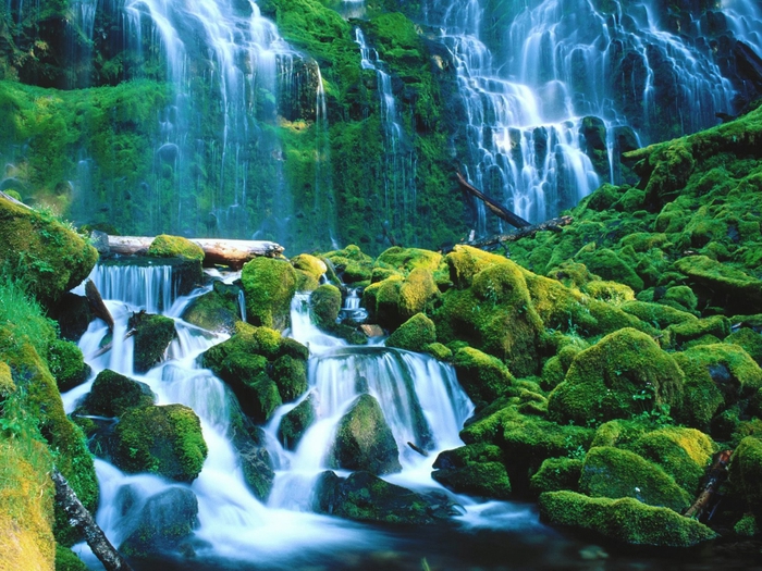 Proxy Falls, Willamette National Forest, Oregon 1 (700x525, 361Kb)